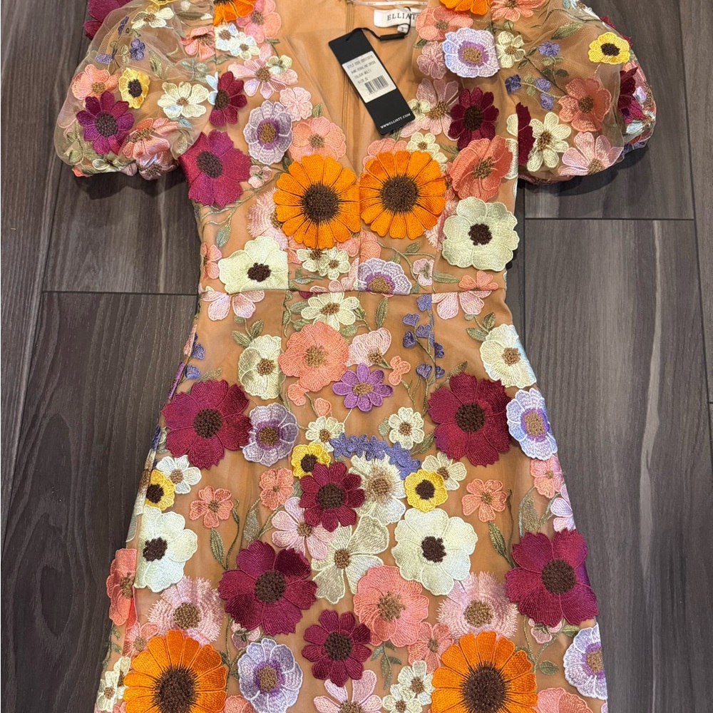 Elliatt Multicolor Floral Embroidered Dress